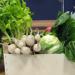 … pour gagner entre autre le panier paysan